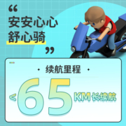 五星钻豹电动车 新国标电瓶车48V20AH长续航成人车两轮电动自行车 A4plus 源彩黑/油光亚黑