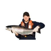 Marine Harvest 美威 智利原味三文鱼整条 6kg