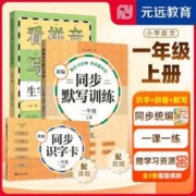 2023新编同步识字卡+看拼音+默写训练3册一年级上册