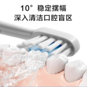 小米（MI）米家声波电动牙刷T300成人情侣男女充电式防水牙刷情侣款 米家声波电动牙刷T300