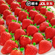 田良季 红颜99奶油草莓 3斤装 特大果（单果20-25g）