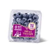 朕氏果记 佳沃（joyvio） 云南精选蓝莓巨无霸18mm+3盒装 约125g/盒