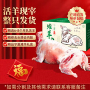 杞乐康 全羊整只 30斤