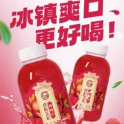 百年老字号，贵州成有王记  网红冰杨梅汁 248ml*8瓶