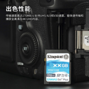金士顿（Kingston）SD存储大卡 高速相机内存卡单反微单sd卡 class10 U3 V30 SDG3/256G【读速170M/S 丨4K超清】