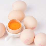 桂青源 可生食鲜鸡蛋 30枚 1.5kg 礼盒装