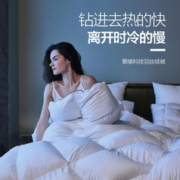 LOVO 乐蜗家纺 暖气房 羽丝绒四季被 220*240cm