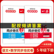 《一本·同步培优新卷》（2024版上册、年级/科目任选）