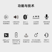 DEVIALET GEMINI II 帝瓦雷双子星二代 真无线降噪耳机 蓝牙耳机 哑光黑