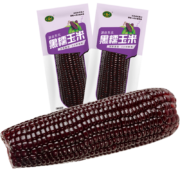 珍谷诱惑 东北糯玉米 非转基因 黑糯玉米10支×200g