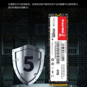 Great Wall 长城 GW7000 NVMe M.2固态硬盘 4TB （PCle 4.0）