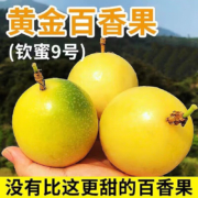plus会员：枝头春 黄金百香果 3斤中果（单果45-60g）