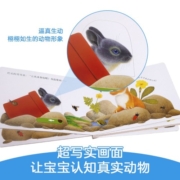 乐乐趣普莱格尔系列 动物朋友手指推拉书认知翻翻书 0-3岁婴幼儿早教书籍感官刺激亲子互动翻翻绘本 【手指推拉书】忙碌的小兔