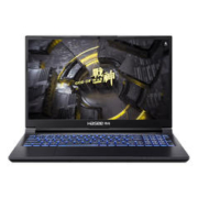 百亿补贴：Hasee 神舟 战神 TX8R9 16.0英寸游戏本（i9-13900HX、RTX 4060 8G、16GB、1TB SSD、2.5K、IPS、165Hz）