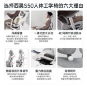 西昊S50人体工学椅 椅子电脑椅 办公椅电竞学习椅会议老板椅 双背撑腰