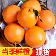 橙之味 正宗江西赣南脐橙新鲜赣州橙子当季水果礼盒皮薄多汁节日团购 特级独立装】5斤毛重单个200g+