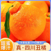 ZOCI 四川不知火丑橘特大果新鲜水果丑柑橘子丑桔丑八怪应季现摘 精选丑橘9斤（家庭装） 大果净重8斤约20-24个