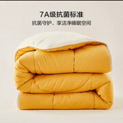 BLISS 百丽丝 被子被芯 大豆抗菌春秋被 200cm×230cm