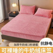 甜梦猫 冬季牛奶绒夹棉加厚保暖床笠枕套三件套 150*200cm