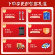 美的（Midea） 电动牙刷家用成人男女充电声波全自动学生党情侣礼盒 长续航自动牙刷杜邦刷圣诞新年生日礼物女生 【星空灰S1P】300天续航+双键智控