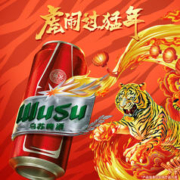 WUSU 乌苏啤酒 大红乌苏500ml*12罐