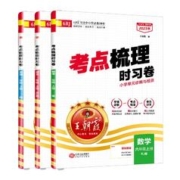 王朝霞试卷考点梳理试卷语文数学英语作业