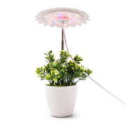 室内盆栽多肉植物补光灯12W