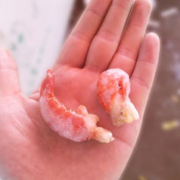 Mr.Seafood 京鲜生 熟冻麻辣小龙虾 无冰虾尾 净虾1000g 袋装 共约260枚 一级虾球