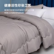GRACE 洁丽雅 加厚双人抗菌纤维冬被200*230cm8斤