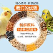 Jonsanty 宠尚天 鹦鹉饲料混合营养粮虎皮牡丹玄凤鹦鹉鸟粮饲料五色黍子小米专用粮