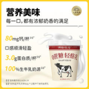 HOKKAI PASTURES 北海牧场 轻酪乳 风味发酵乳 100g*3杯