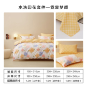 百丽丝 家纺四件套清新INS风网红四件套被套床单床上用品 霓裳梦颜 1.8床