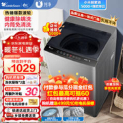 小天鹅 纯净系列 TB100V23H 定频波轮洗衣机 10kg 深灰色