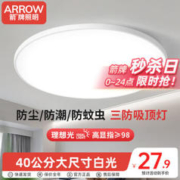 ARROW 箭牌照明 吸顶卧室灯 36W 白光 38cm