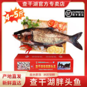 CHINGREE 查干湖 有机胖头鱼东北冬捕胖头鱼新鲜