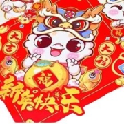 无则添 龙年对联春联新年2024年的新款春节过年家用门贴礼包装饰布置元旦 龙年快乐大礼包 91件套