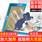 粘鼠板强力胶水粘大老鼠捉抓灭捕超加厚加大驱沾鼠神器家用一窝端