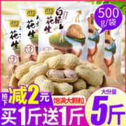 其妙 龙岩花生蒜香味五香水煮花生米带壳白晒干炒货熟特产零食散装批发