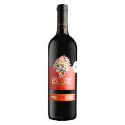 张裕 先锋智利 科帕尔 赤霞珠干红葡萄酒 750ml*2件