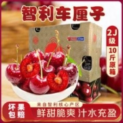 JOYVIO 佳沃 智利车厘子10斤原箱2J级当季新鲜水果脆甜多汁原箱包邮