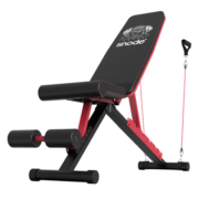 斯诺德（SiNuoDe） 哑铃凳可折叠推凳多功能健身凳专业家用仰卧板健身器材飞鸟凳 家用款/300kg承重/可折叠
