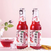 88VIP：麦序 杨梅味气泡米露230mlx1瓶
