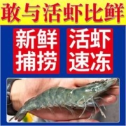 XYXT 虾有虾途 渤海大虾17-19厘米超大号海虾4斤一整箱海鲜水产批发大虾