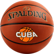 斯伯丁（SPALDING）篮球7号经典黑金训练比赛室内外通用耐磨防滑吸湿七号篮球