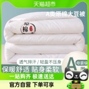 南极人  大豆纤维冬被棉被芯  220*240cm  12斤