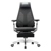 保友办公家具（Ergonor）基尼迪亚X 人体工学椅 办公椅电竞椅电脑椅进口网布/真皮座椅 基尼迪亚X（网椅） .