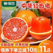 誉福园 湖北秭归脐橙 中华红血橙 5斤（单果80-90mm）
