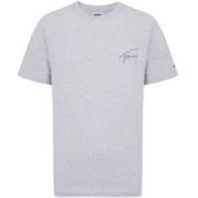 TOMMY JEANS23男女情侣纯棉签字体刺绣平纹针织合身短袖T恤DM0DM16240 灰色PJ4 M(推荐：135-150斤)
