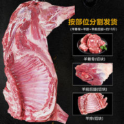 双十二秒杀价！！半只羊 (羊腿+羊排+羊脊骨) 5斤