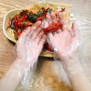 天降1+签到0撸 100只一次性手套家用食品